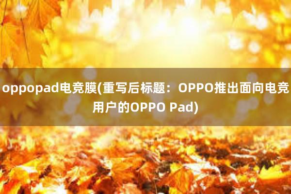 oppopad电竞膜(重写后标题：OPPO推出面向电竞用户的OPPO Pad)