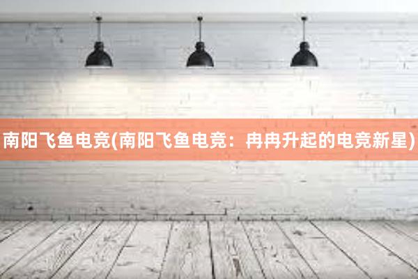 南阳飞鱼电竞(南阳飞鱼电竞：冉冉升起的电竞新星)