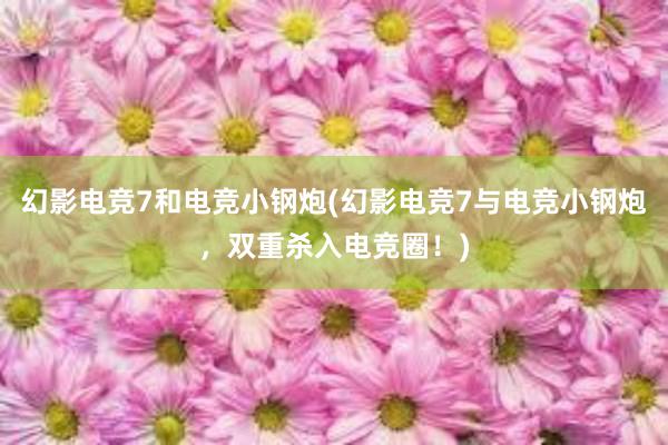 幻影电竞7和电竞小钢炮(幻影电竞7与电竞小钢炮，双重杀入电竞圈！)