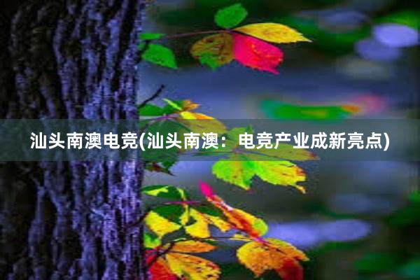 汕头南澳电竞(汕头南澳：电竞产业成新亮点)