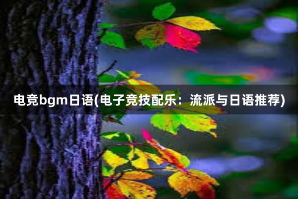 电竞bgm日语(电子竞技配乐：流派与日语推荐)