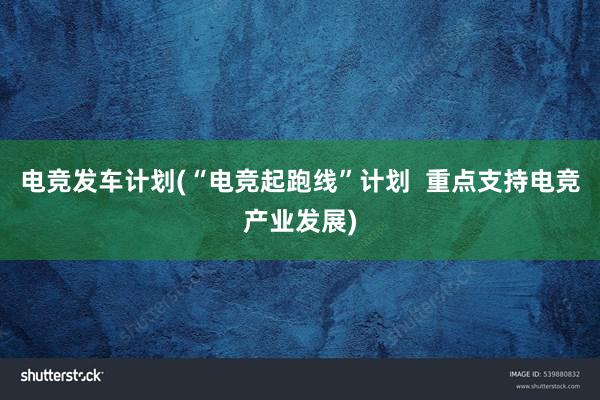 电竞发车计划(“电竞起跑线”计划  重点支持电竞产业发展)