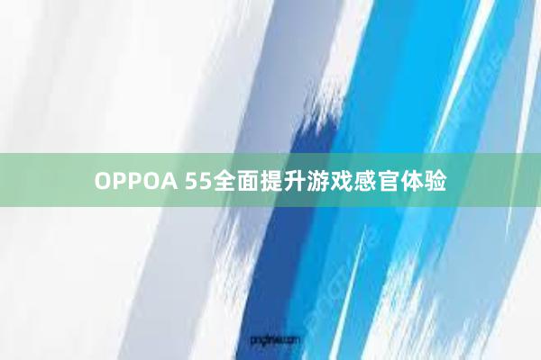 OPPOA 55全面提升游戏感官体验