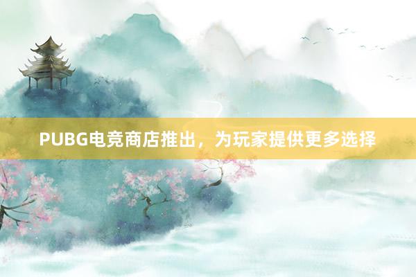 PUBG电竞商店推出，为玩家提供更多选择