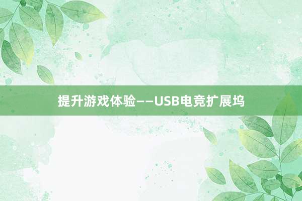 提升游戏体验——USB电竞扩展坞