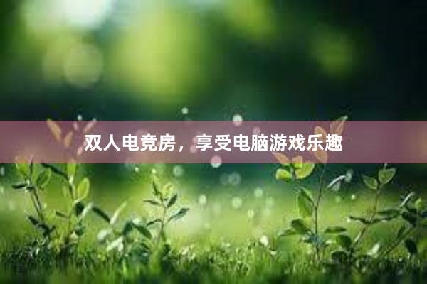 双人电竞房，享受电脑游戏乐趣