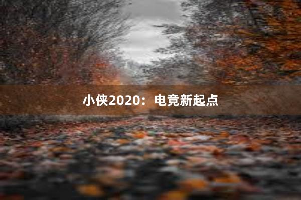 小侠2020：电竞新起点