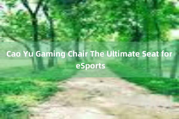 Cao Yu Gaming Chair The Ultimate Seat for eSports