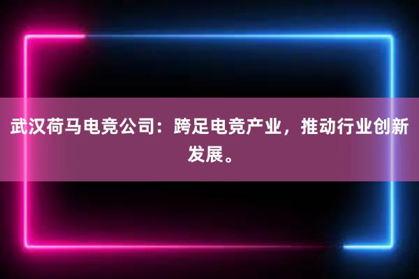 武汉荷马电竞公司：跨足电竞产业，推动行业创新发展。