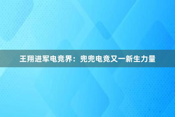 王翔进军电竞界：兜兜电竞又一新生力量