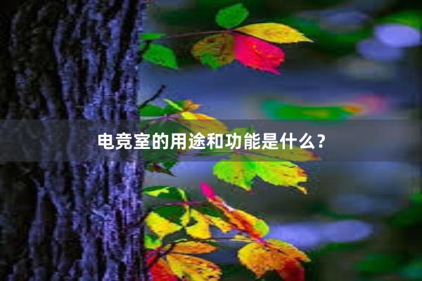 电竞室的用途和功能是什么？