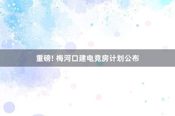 重磅! 梅河口建电竞房计划公布