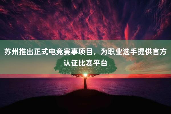 苏州推出正式电竞赛事项目，为职业选手提供官方认证比赛平台