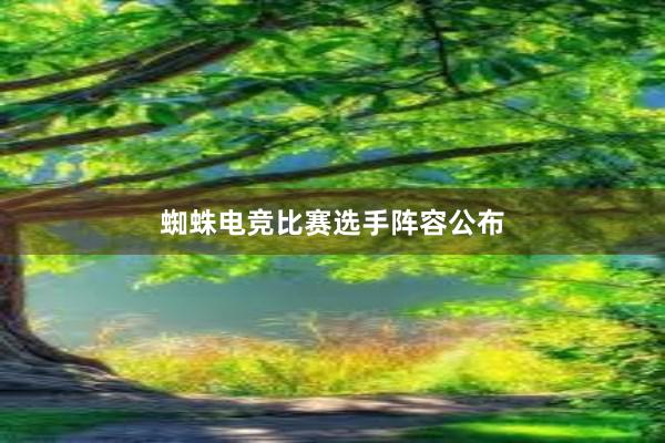 蜘蛛电竞比赛选手阵容公布