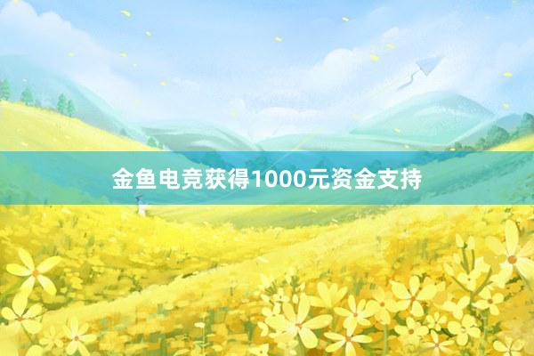 金鱼电竞获得1000元资金支持