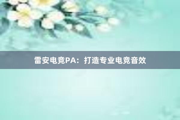 雷安电竞PA：打造专业电竞音效